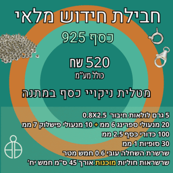 חבילת חג- חידוש מלאי כסף