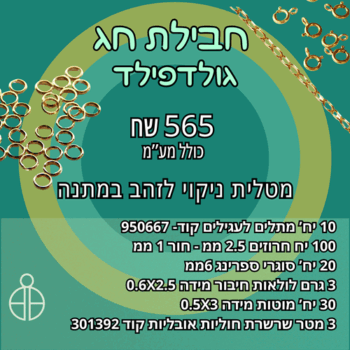 חבילת חג גולדפילד