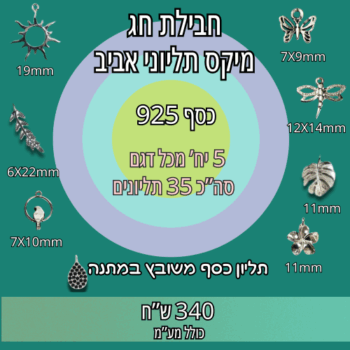 חבילת חג-מיקס תליוני כסף